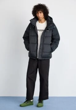 Vans OLD SKOOL UNISEX - Trainers - Mono Pop Green/black -Vans Shop UK 3c9738f69a344f5d871fdf3725cdab56